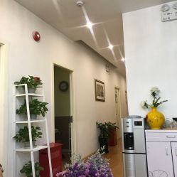 -魔型社