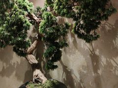 -顺峰(农展馆店)