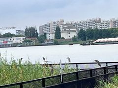 -上海山野camping·户外天幕烧烤·团建拓展营地