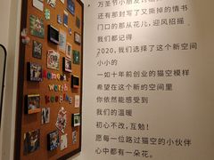 -猫的天空之城概念书店(大学路店)