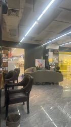 点击看大图 -藤野造型