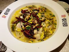 老坛酸菜鱼-乾园(天河城店)