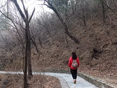 -香山公园-东宫门售票处