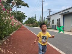 -上海长兴岛郊野公园