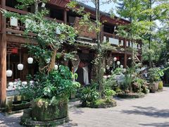 -青城甲(青城山店)