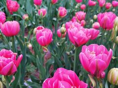 -长春公园(普阳街道)