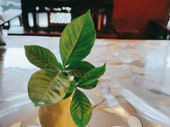 -福慧缘清心素食(峨眉山前店)