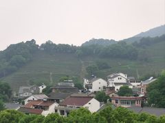 -龙井村