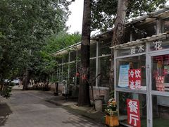-1982农场