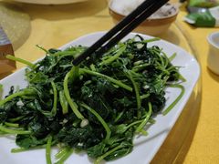 -鲤鱼塘农家山庄