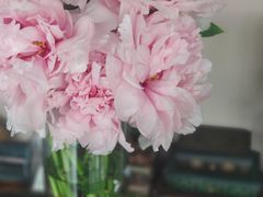 -婷意花宇TheGracesFloral(北外滩店)