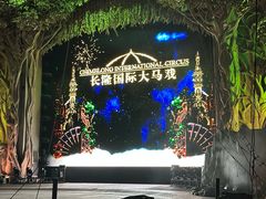 -广州长隆国际大马戏
