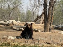 -北京野生动物园