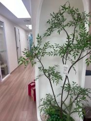 -Lumi露米·美甲美睫品质店