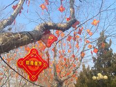 -丁家河公园