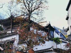 -塔川景区