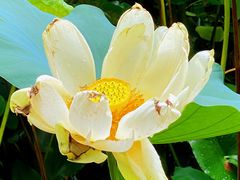 -北京动物园-畅观楼