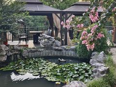-漫渡庄绿岛花园•隐世庭园菜(滨湖店)