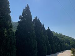 -北京十三陵国家森林公园蟒山景区