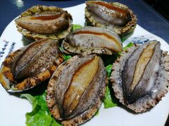 鲜活小鲍鱼-金龙·打边炉(武进路店)