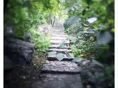 -青檀寺景区