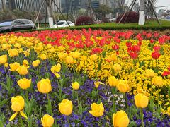 -中南南通体育会展中心