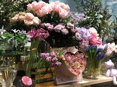 -BEAST野兽派(上海浦东嘉里城店)