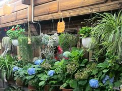 -龙姐私房菜(和顺古镇店)