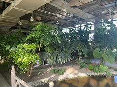 -红栌温泉山庄生态美食餐厅