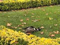 -土耳其与伊斯兰艺术博物馆