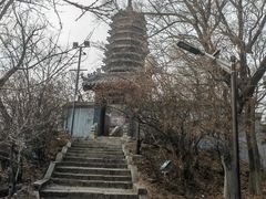 -高尔山公园