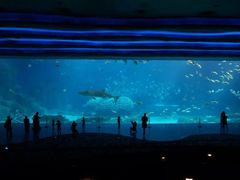 拱北口岸中国旅行社-广东省拱北口岸中国旅行社(华宾营业部)