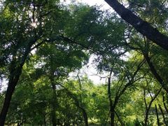 -渡海小渔村.老辈日照菜