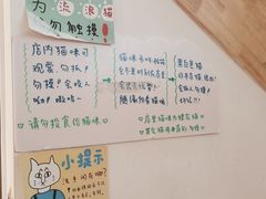 -猫的天空之城概念书店(杭州南宋御街店)