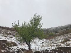 -妙峰山风景名胜区