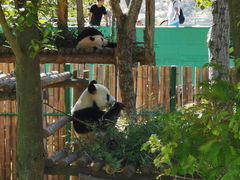 -西霞口神雕山野生动物世界