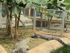 -石家庄市动物园