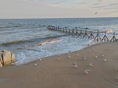 -老虎石海上公园