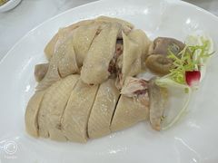 清心果园白切鸡-渔意楼·驰名沙田乳鸽(五羊店)