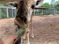 -清迈夜间动物园