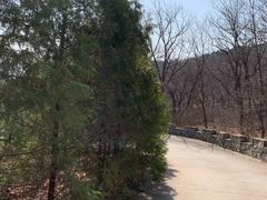-北京鹫峰国家森林公园