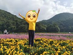 -广州市石门国家森林公园