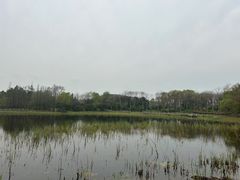 -长广溪湿地公园