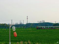 -嘉北郊野公园