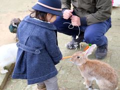 -武汉紫薇都市田园