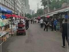 -哈尔滨道外花鸟鱼市场
