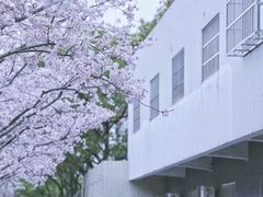 -永乐路-路侧停车场