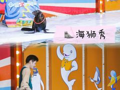 -南昌海洋公园