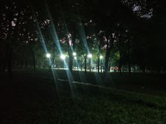 -后襄河公园