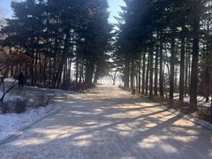 -长春市南湖公园